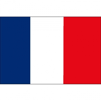 Bandera de francia