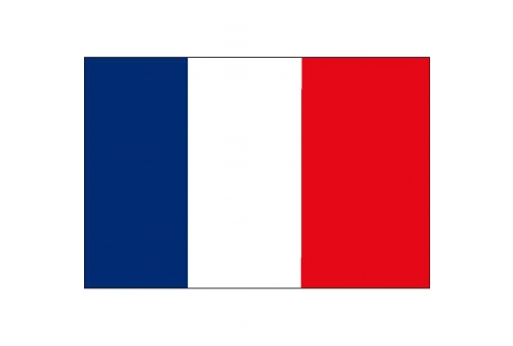 Bandera de francia