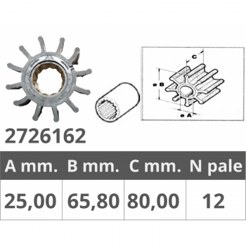 RODETE JOHNSON 09-821B